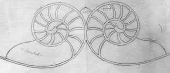 Custom Furniture Sketch